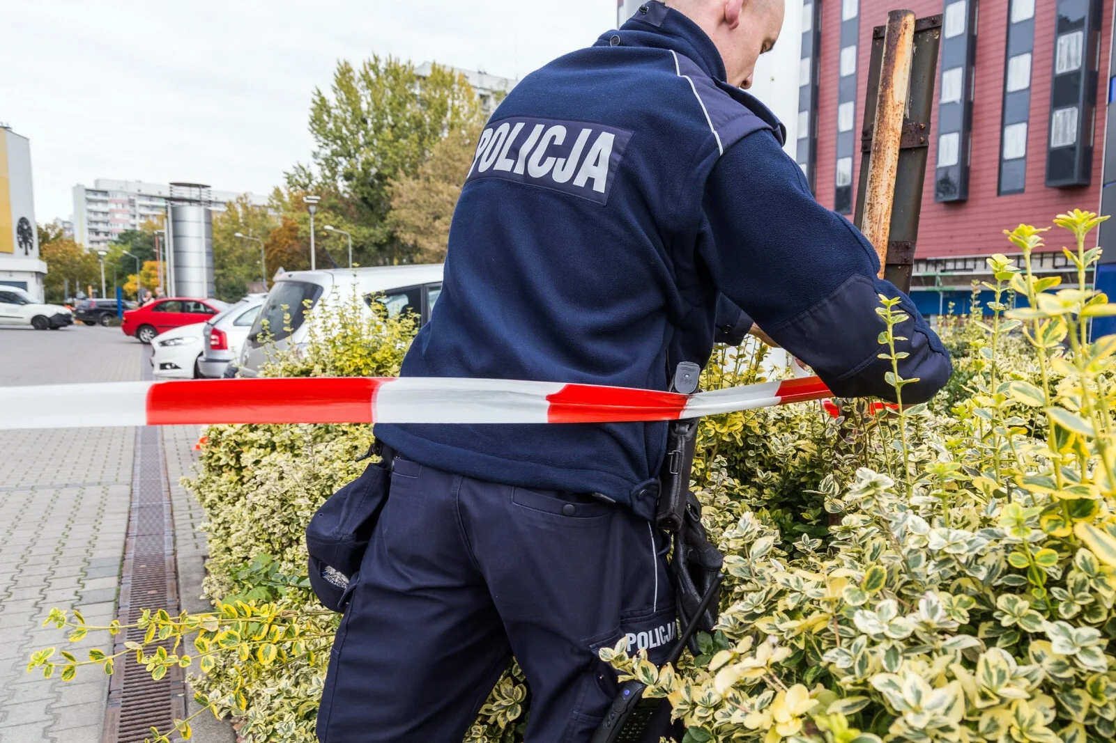 Policja. Zdjęcie ilustracyjne.