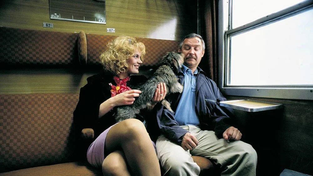 „Dzień świra” 2002