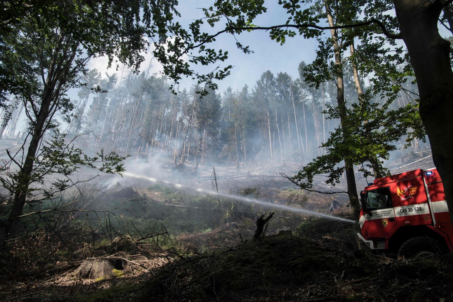 Pożary w Czechach dalej szaleją.