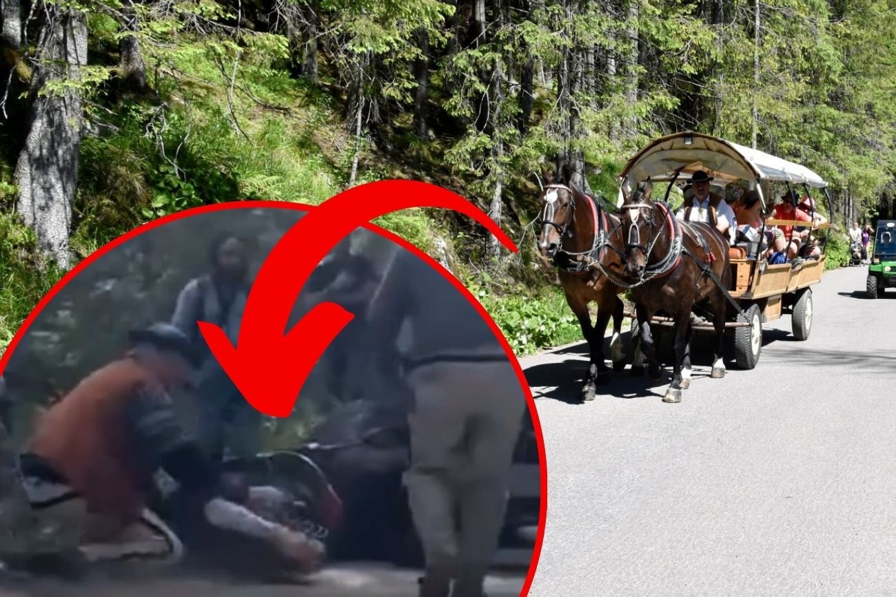 Koń upadł na trasie do Morskiego Oka. W poniedziałek będą kontrole