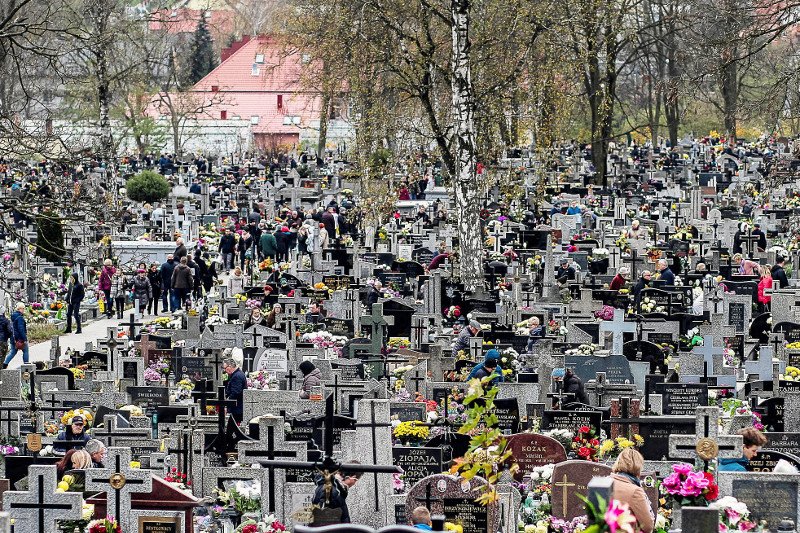 Co roku na różnych cmentarzach w Polsce zdarzają się kradzieże kwiatów i zniczy. Na zdjęciu, Cmentarz Nowy w Kielcach (Zdjęcie ilustracyjne).