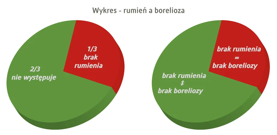 borelioza : rumień a kleszcz oraz rumień a borelioza
