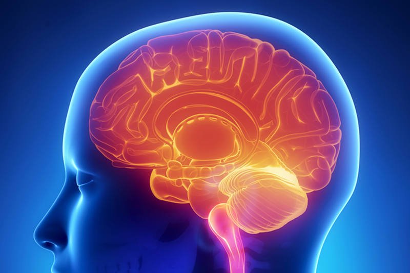 Książki zmieniają mózg? Wg. amerykańskich neurobiologów [url=http://shutr.bz/1eX7sGj]tak[/url]