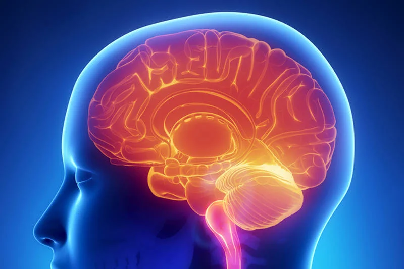 Książki zmieniają mózg? Wg. amerykańskich neurobiologów [url=http://shutr.bz/1eX7sGj]tak[/url]