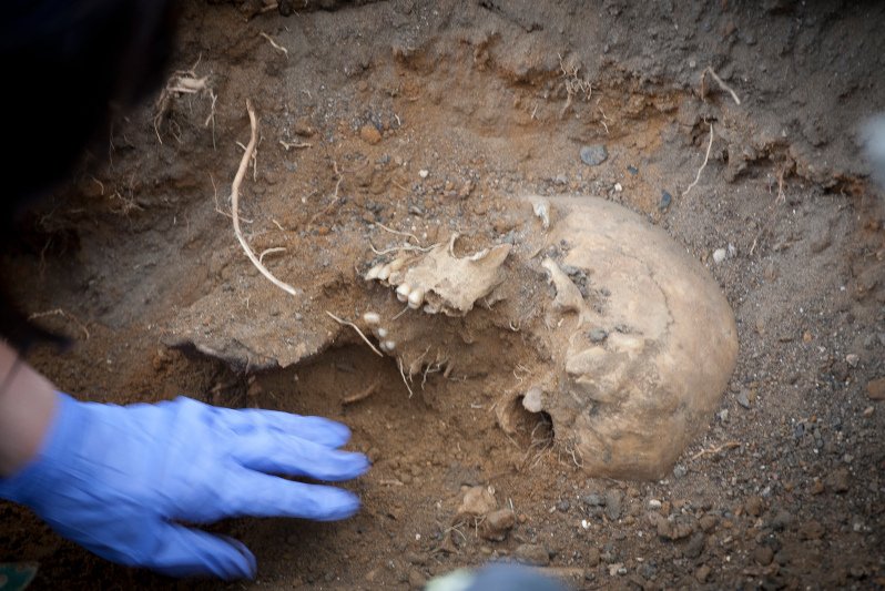 Znaleziono ludzką czaszkę w sortowni odpadów.