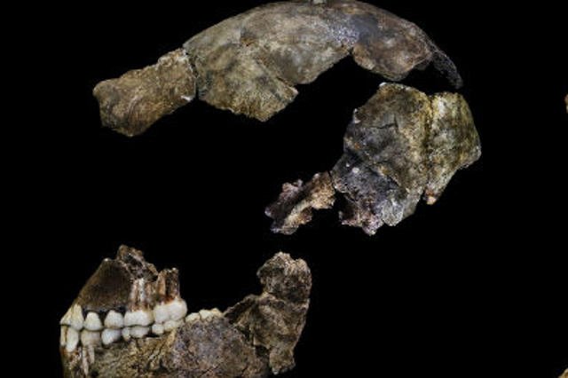 Nowy gatunek ludzki: Homo Naledi