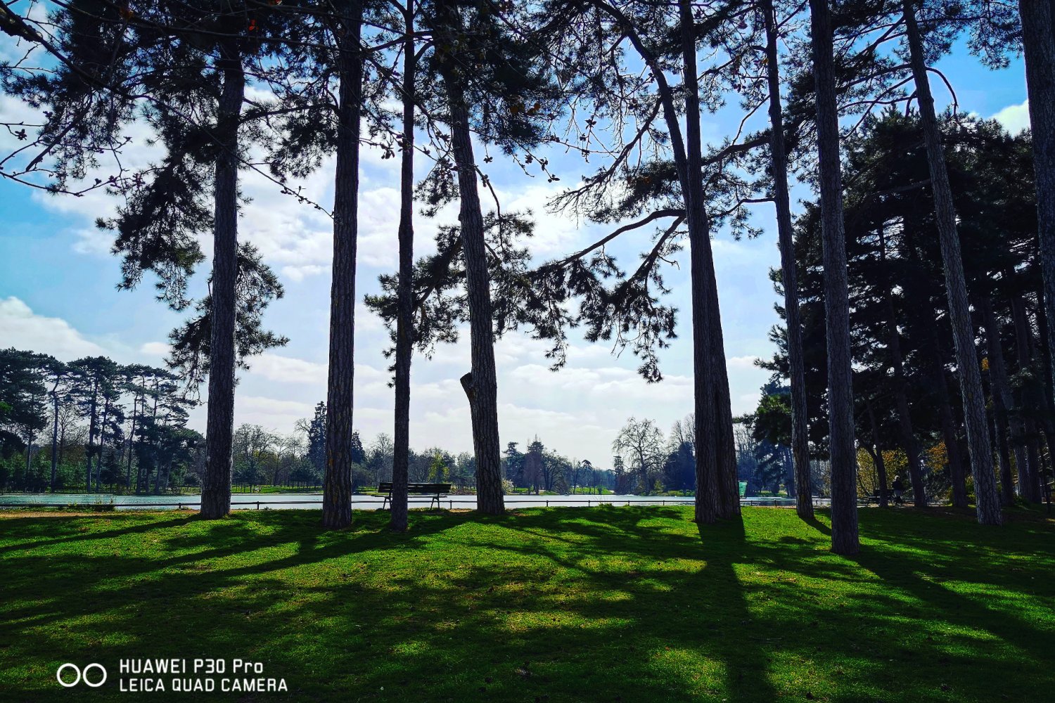 Zdjęcie wykonane smartfonem Huawei P30 Pro.