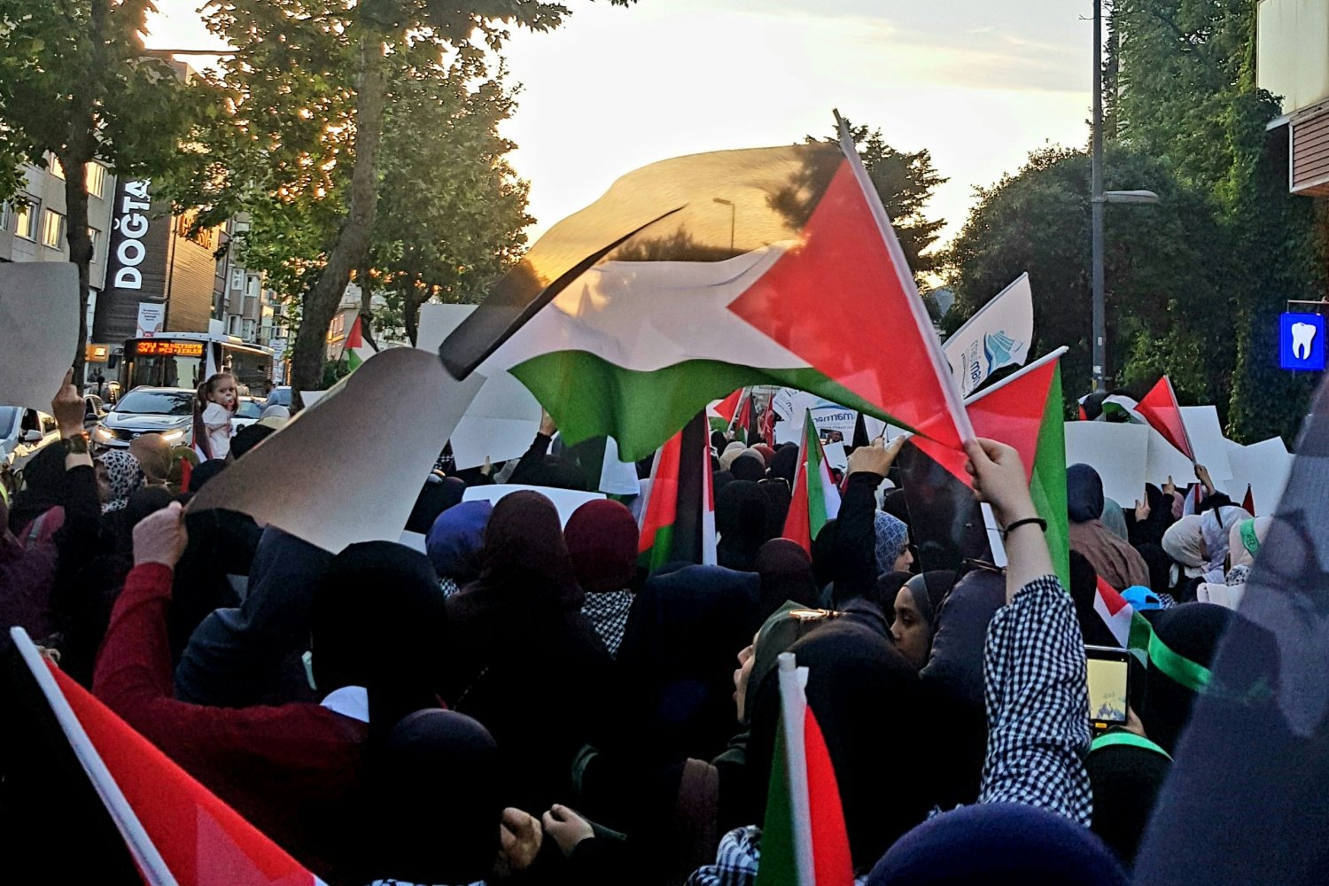 Storm around Germany. Council of Europe hits Berlin over pro-Palestinian protests