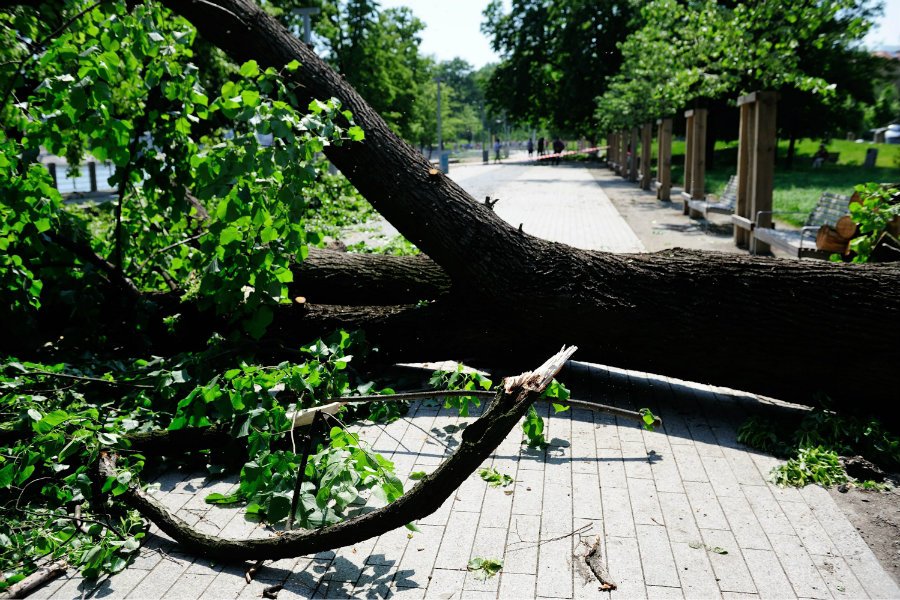 Pas groźnych burz przechodzi nad Polską. (zdjęcie poglądowe)