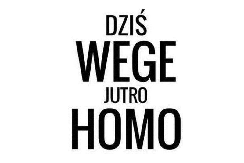 Wegetarianie vs mięsożercy. "Nazywają mnie walniętą sekciarą"