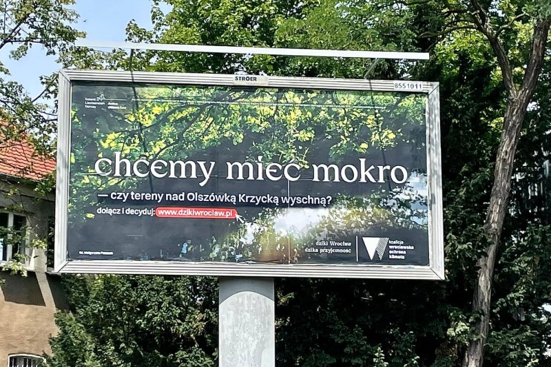 Kontrowersyjna akcja bilbordowa Koalicji "Wrocławska Ochrona Klimatu"