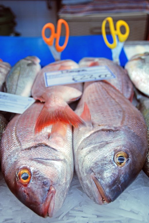 Pagrusy różowe już po ustąpieniu rigor mortis, uśmiercone klasycznie - wrzuceniem do lodowatej wody. Targ rybny w Lizbonie.