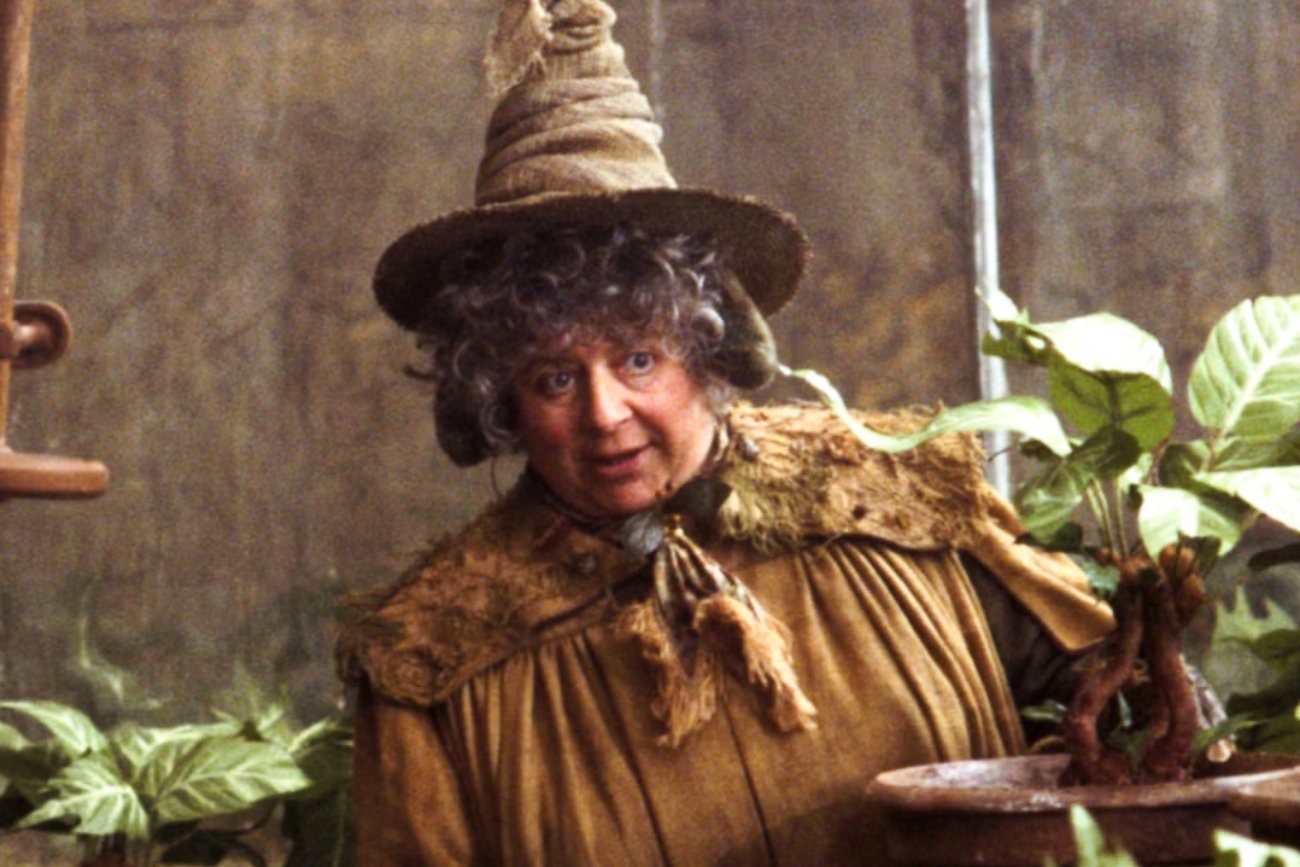 Miriam Margolyes zaapelowała do Żydów w sprawie sytuacji Palestyńczyków w Gazie. Miriam Margolyes zaapelowała do Żydów w sprawie sytuacji Palestyńczyków w Gazie.