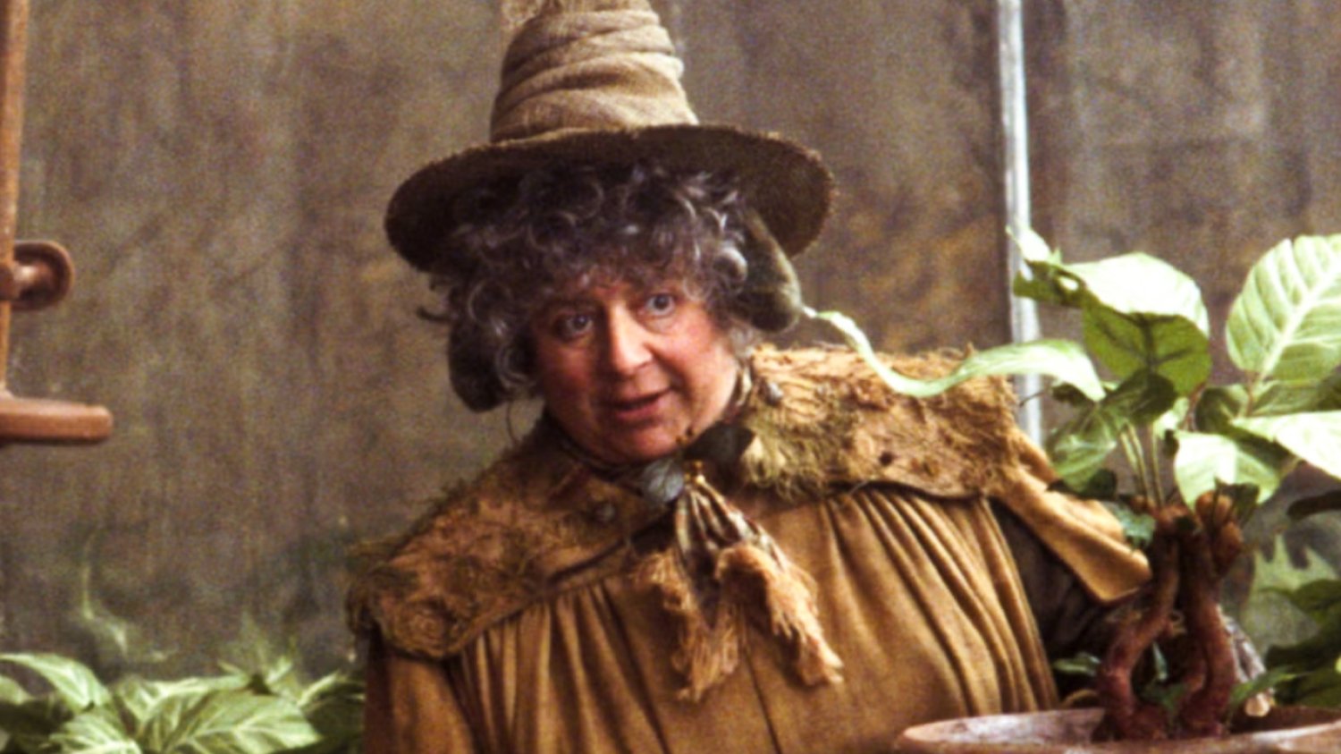 Miriam Margolyes zaapelowała do Żydów w sprawie sytuacji Palestyńczyków w Gazie. Miriam Margolyes zaapelowała do Żydów w sprawie sytuacji Palestyńczyków w Gazie.