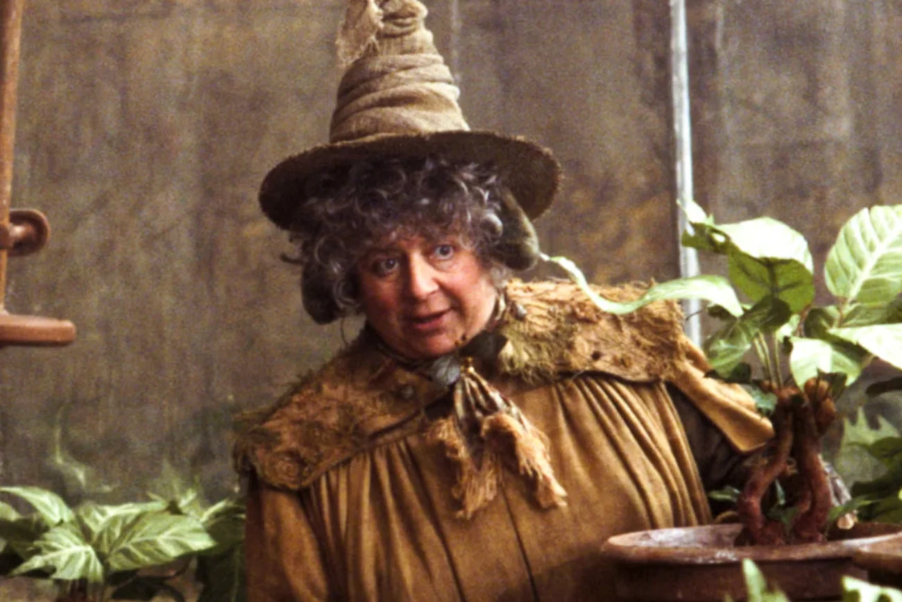 Miriam Margolyes zaapelowała do Żydów w sprawie sytuacji Palestyńczyków w Gazie. Miriam Margolyes zaapelowała do Żydów w sprawie sytuacji Palestyńczyków w Gazie.