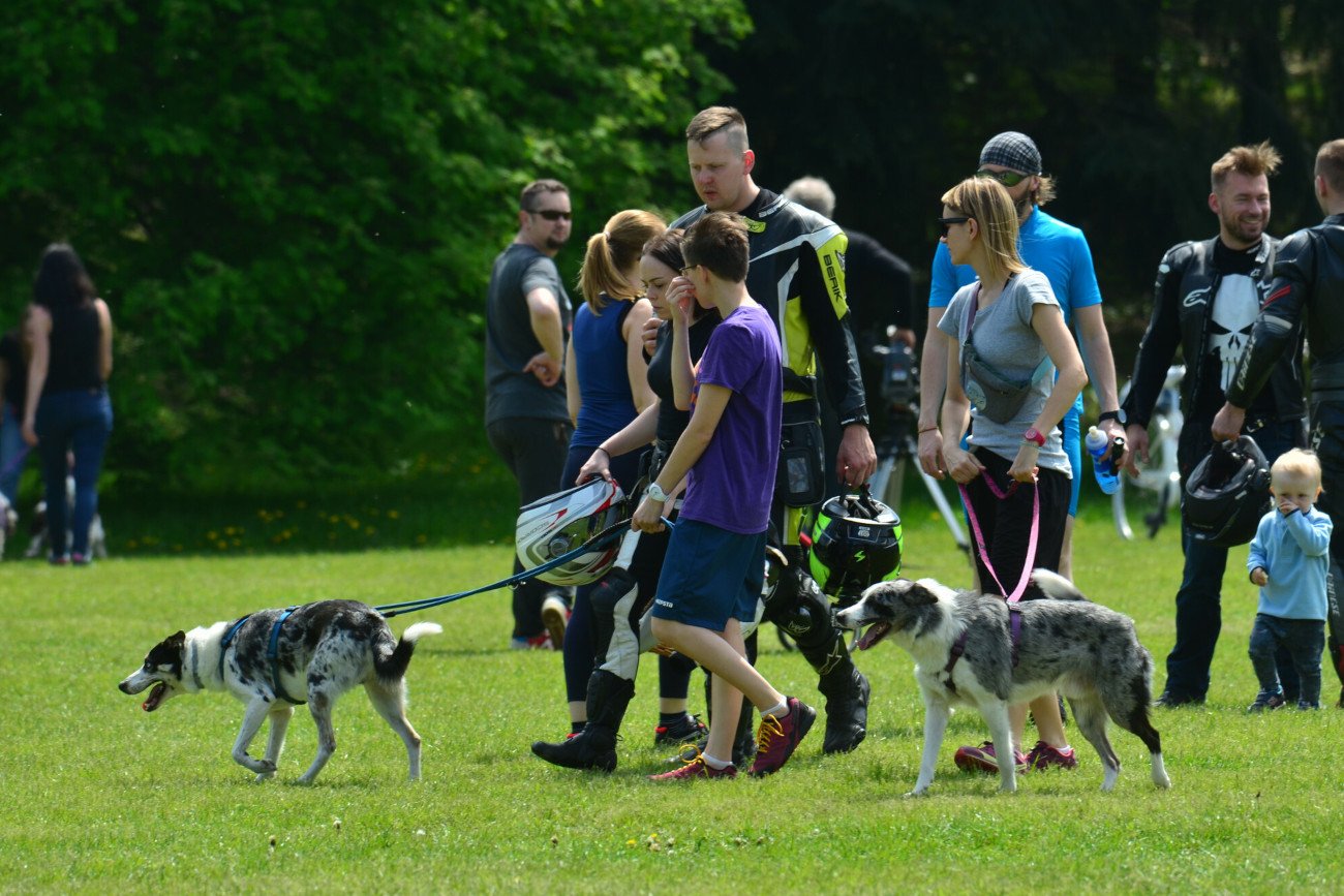 Kejtrówka w Poznaniu przyciągnęła tłumy.