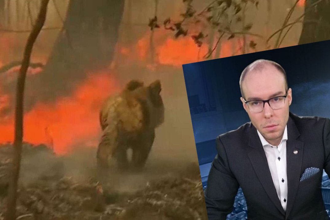 Marcin Rola wytłumaczył, dlaczego w Australii śmierć poniosło 500 mln zwierząt