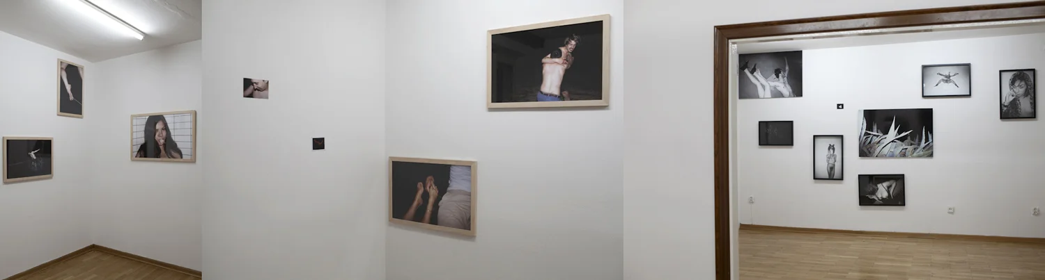 Witek Orski "Wulgarne", Galeria Czułość