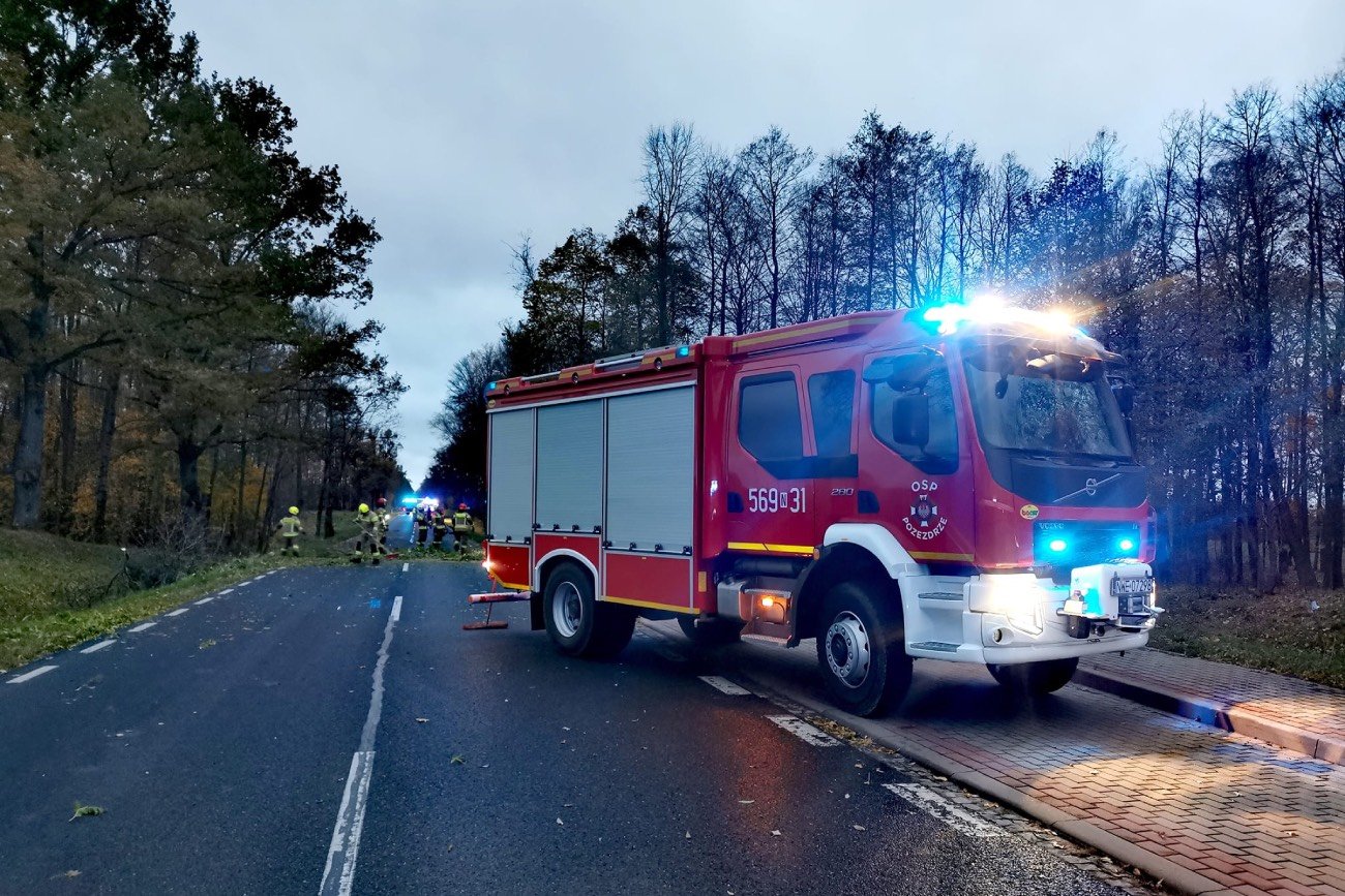 Na drodze z Węgorzewa do Giżycka karetka wjechała w powalone drzewo