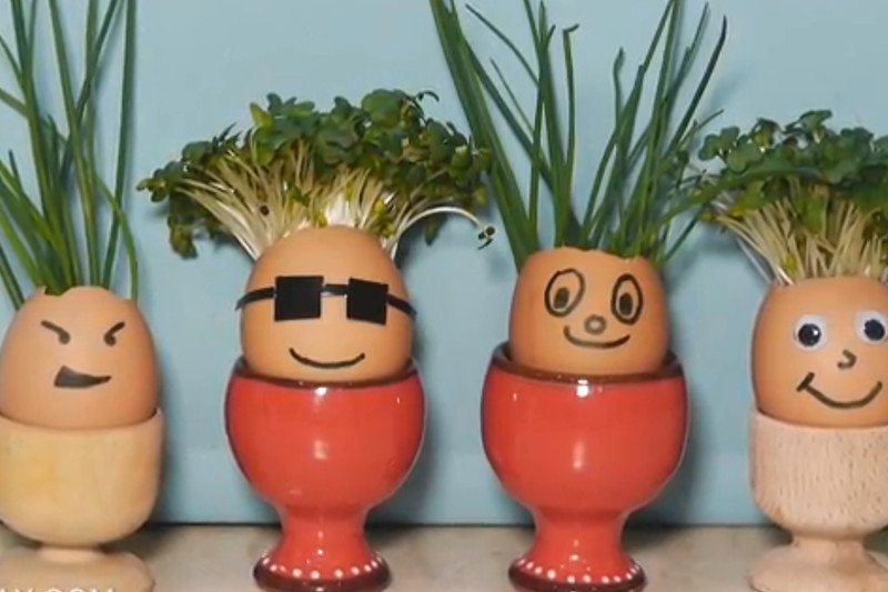 Dave Hax – mistrz life hacking