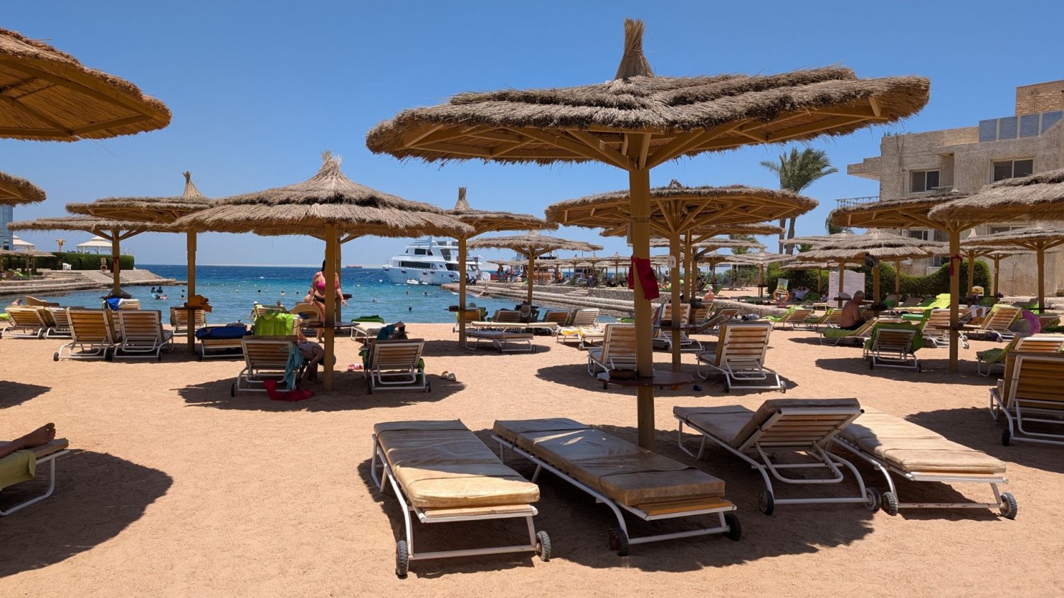 Egipt zaczyna walkę z plastikiem Hurghada wprowadza zakaz reklamówek