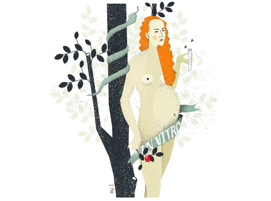 ilustracja Martyna Wójcik-Śmierska