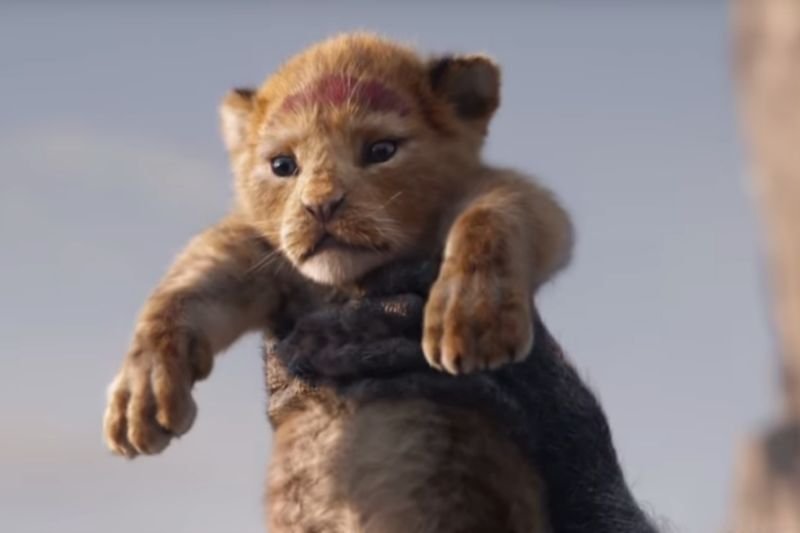 W sieci pojawił się pierwszy zwiastun nowej wersji filmu "Król Lew".