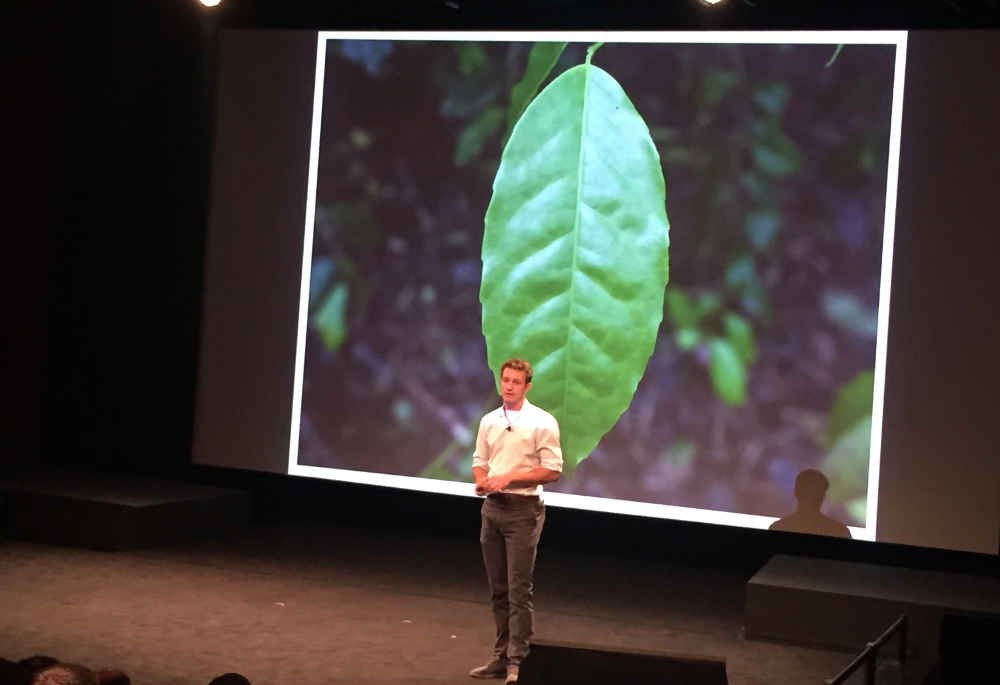 Jeden liść zmienił życie tego człowieka. Biznesowa historia Tylera Gage'a i firmy Runa