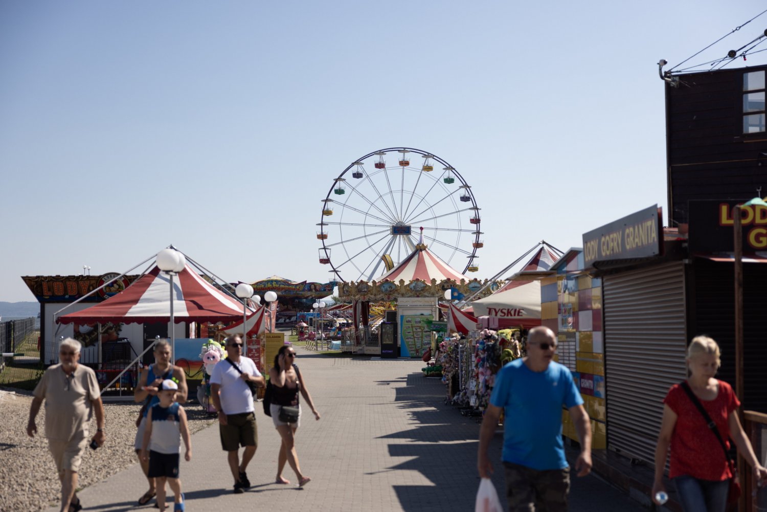 "Dzika loszka" opala się nad Bałtykiem. Nowa atrakcja wzbudziła sensację