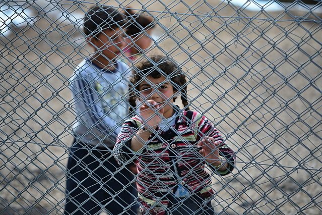 Czesi nie chcą uchodźców