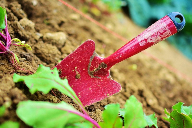 Czas na wiosenne porządki w ogrodzie już się zaczął.