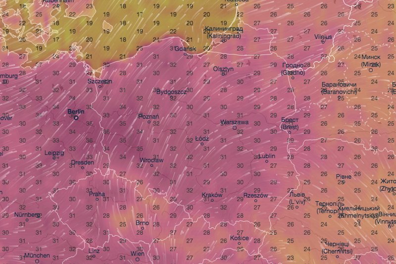 Upały wrócą już niedługo.