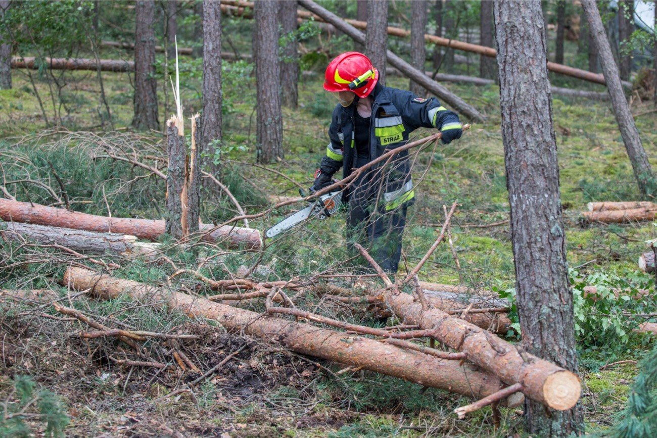 Strażak przy drzewach połamanych przez burze