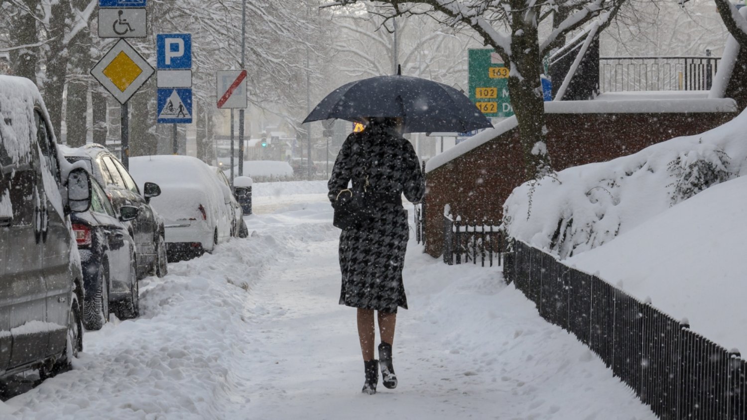Kiedy pierwszy śnieg? IMGW ogłosiło alerty dla połowy Polski
