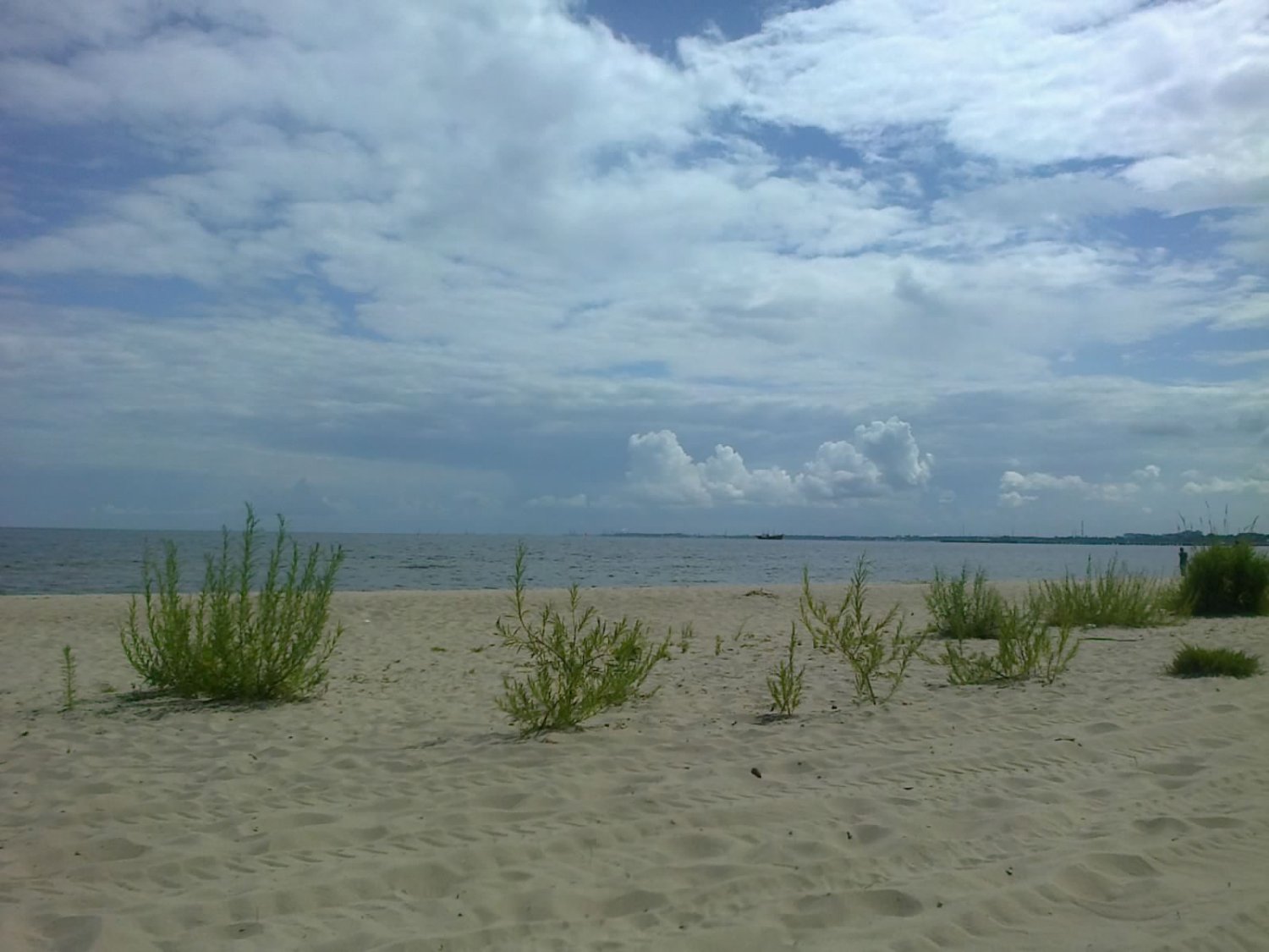 Nasze zrepolonizowane morze