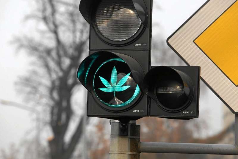 Urząd Skarbowy w Stargardzie Szczecińskim legalnie sprzeda sprzęt, dzięki któremu można stworzyć plantację marihuany