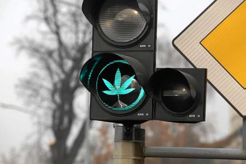 Urząd Skarbowy w Stargardzie Szczecińskim legalnie sprzeda sprzęt, dzięki któremu można stworzyć plantację marihuany