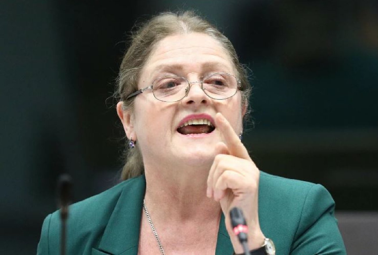 Krystyna Pawłowicz o władzach Niemiec: Planują rewizję granicy z Polską