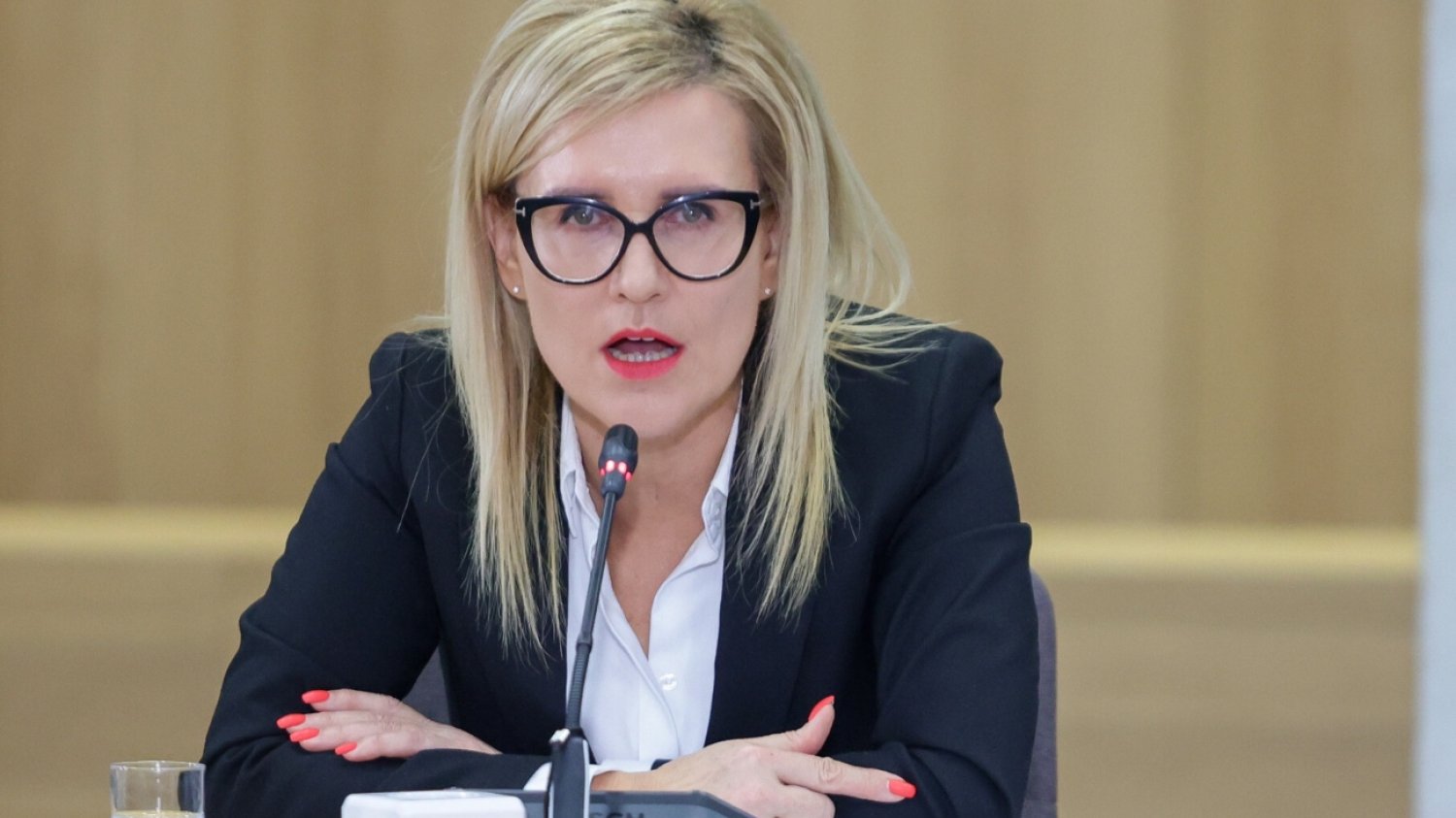 Ewa Wrzosek dalej atakuje Adama Bodnara. W rozmowie w TOK FM skrytykowała jego działania.