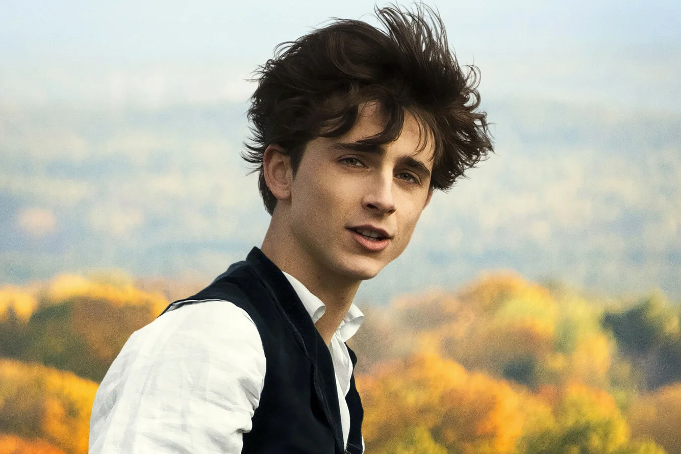 Timothee Chalamet: przereklamowani aktorzy Timothée Chalamet w "Małych kobietkach"