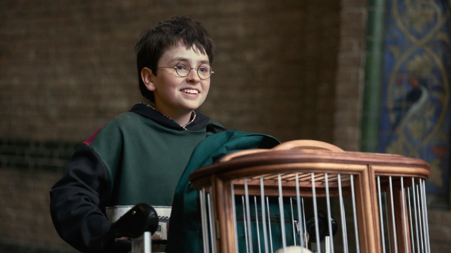 Dominic McLaughlin w serialu "Harry Potter"