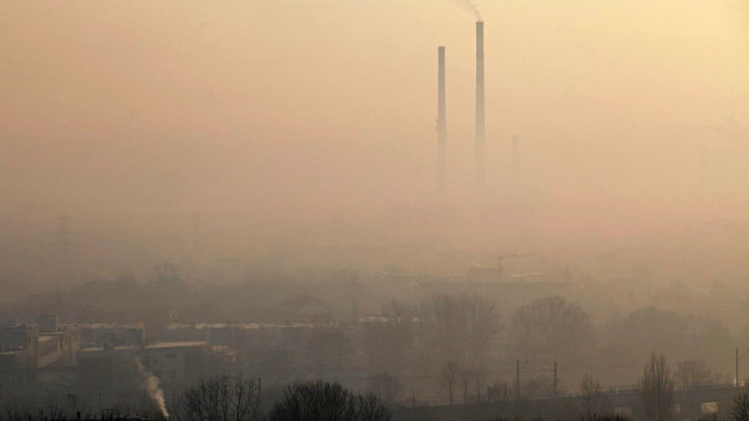 Smog staje się coraz poważniejszym problemem Polski.