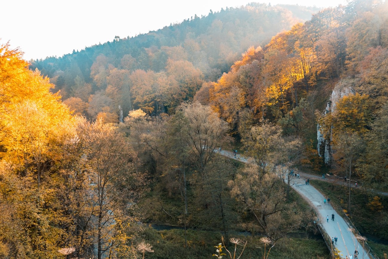 Ojcowski Park Narodowy jesienią zachwyca swoimi barwami