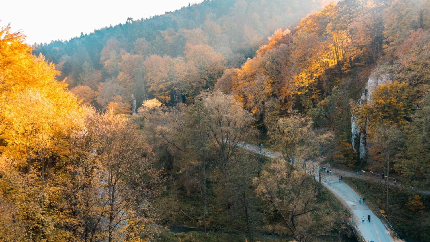Ojcowski Park Narodowy jesienią zachwyca swoimi barwami
