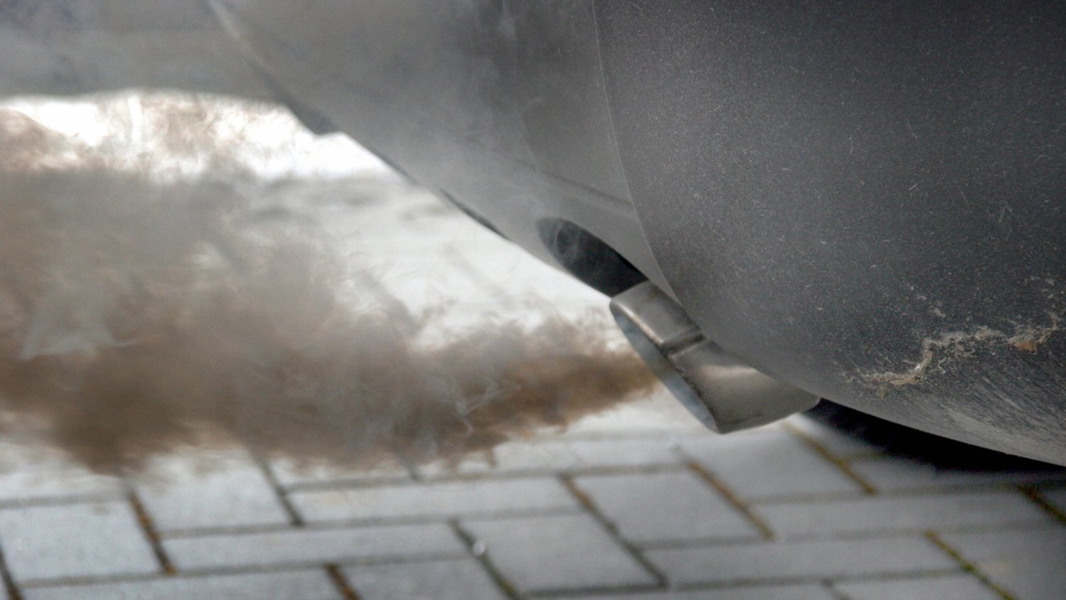 Koniec kar za wycinanie DPF. Pojęcie "wolna amerykanka" nabiera nowego znaczenia