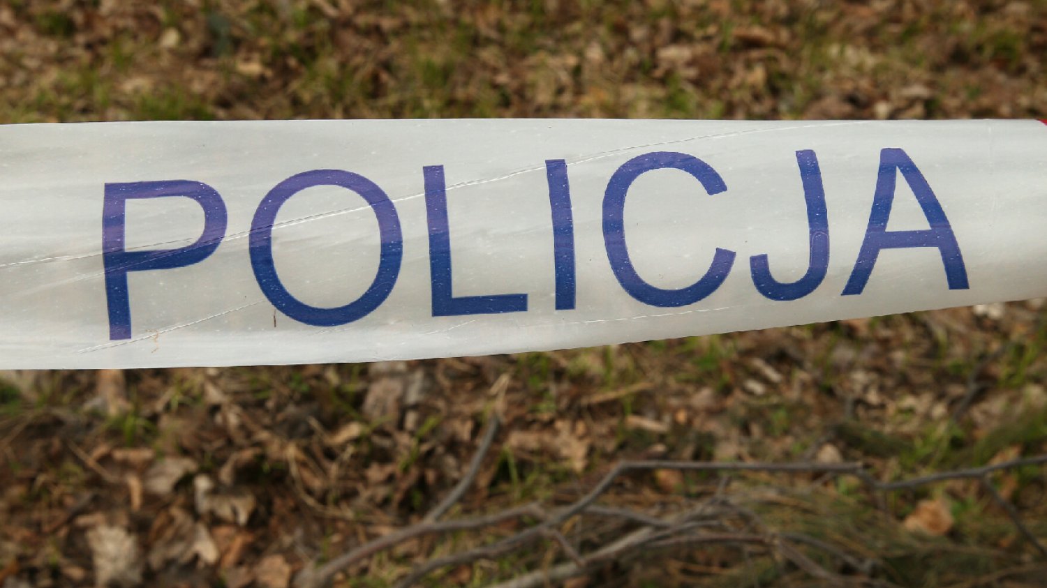 Żywiec. Ciało dziewczynki przy drodze. Służby interweniowały w środku nocy.