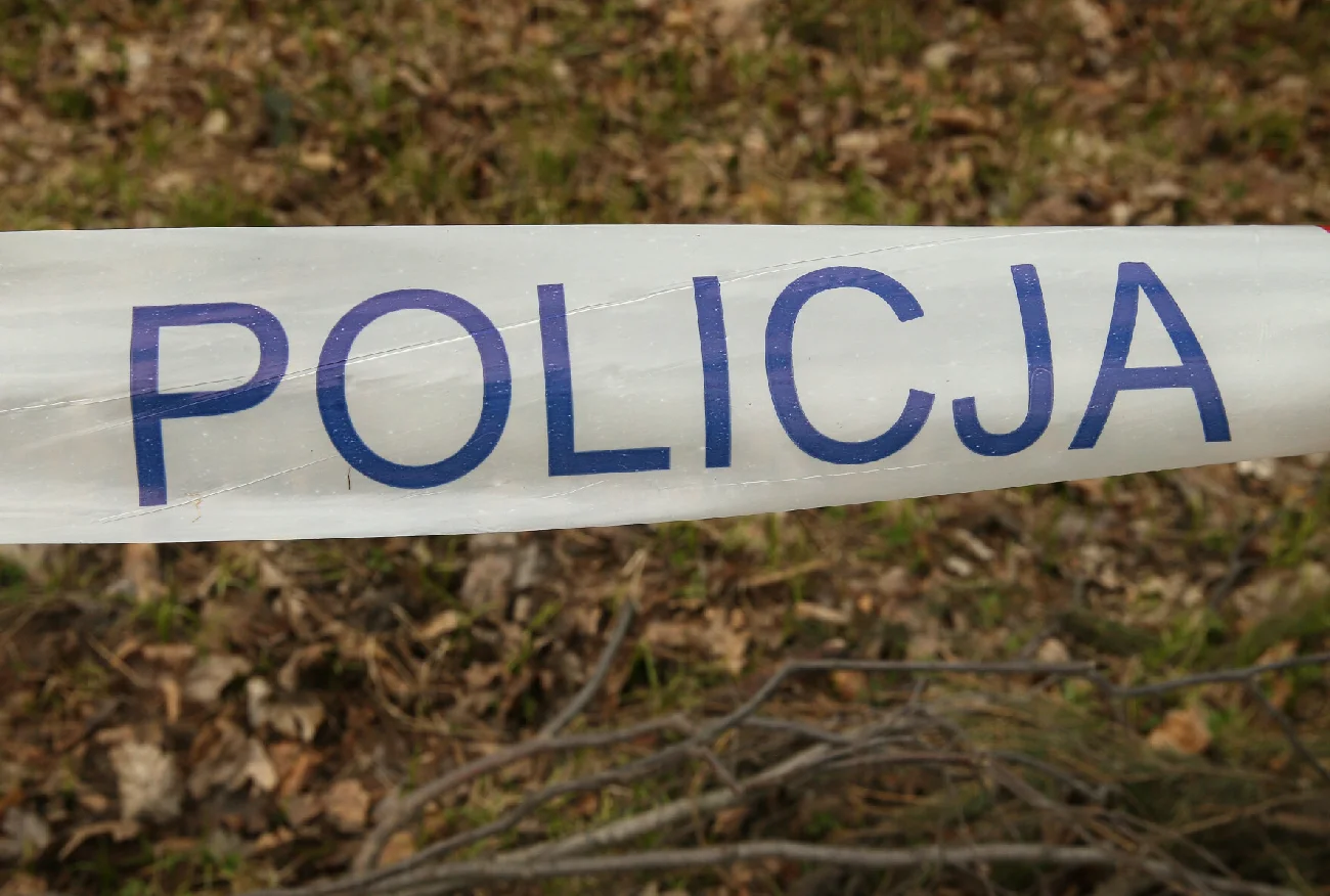 Żywiec. Ciało dziewczynki przy drodze. Służby interweniowały w środku nocy.