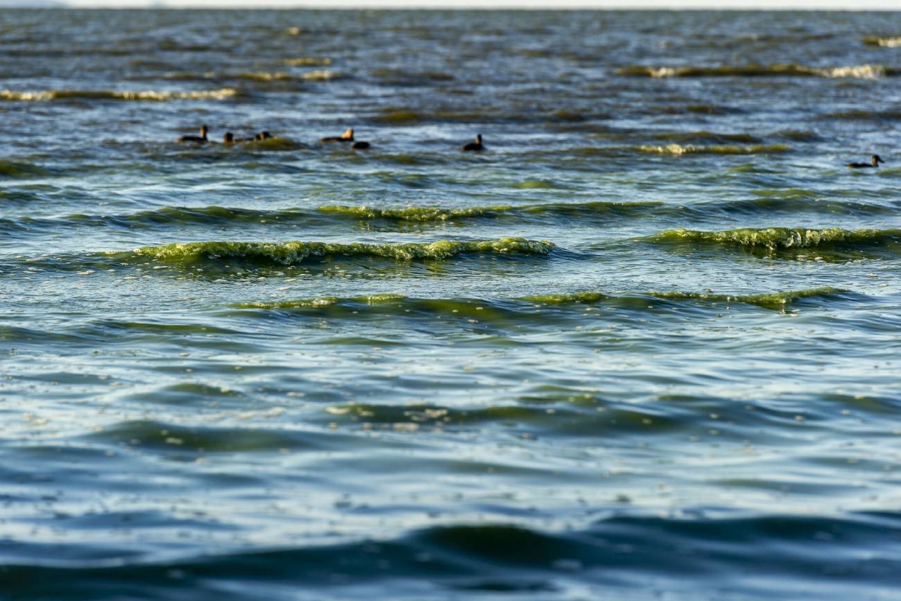 Podczas kąpieli w jeziorze zakaził się zżerającą mózg amebą