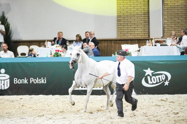 Wiceprezes ANR zrezygnował ze stanowiska na chwilę po nieudanej aukcji klaczy Emiry w Janowie Podlaskim.