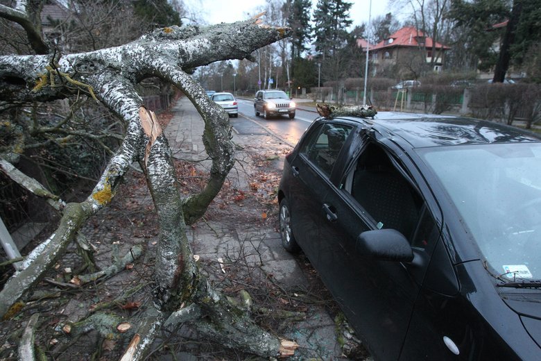 Prognoza pogody. Uwaga na silny wiatr. Ostrzeżenia IMGW dla 15 województw.